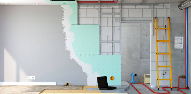 Trusted Scott City, MO Mold Removal Experts